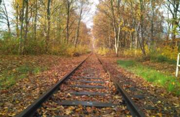 Einsame Bahngleise im Herbst mit Laub bedeckt, Symbol für Depressionen, Trauer und Trennungen.